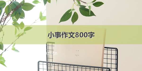 小事作文800字