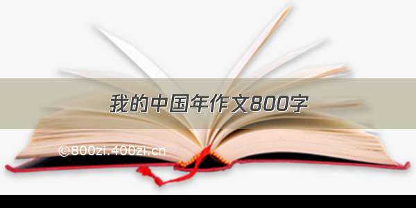 我的中国年作文800字