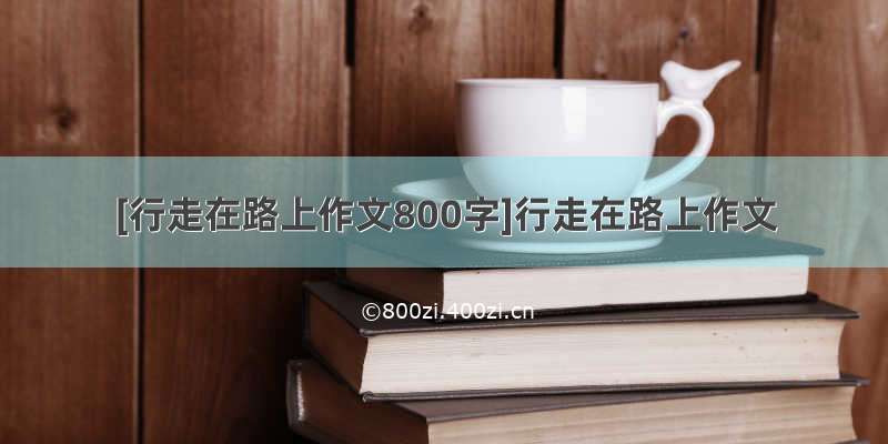 [行走在路上作文800字]行走在路上作文