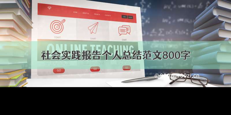 社会实践报告个人总结范文800字