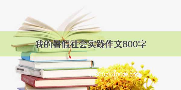 我的暑假社会实践作文800字