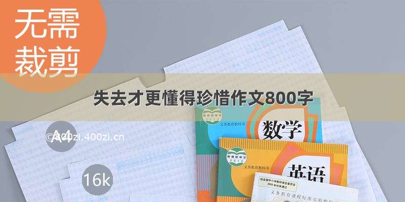 失去才更懂得珍惜作文800字