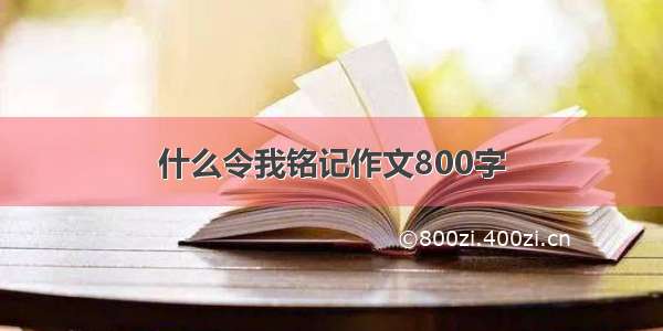 什么令我铭记作文800字