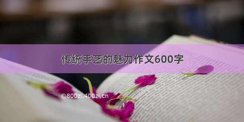 传统手艺的魅力作文600字