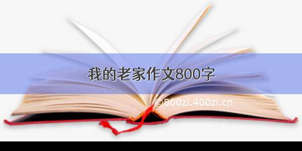 我的老家作文800字