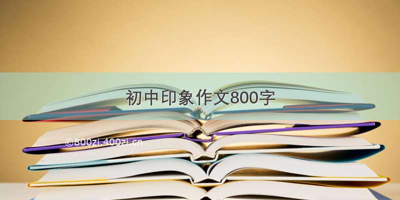 初中印象作文800字