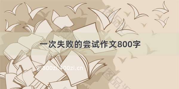 一次失败的尝试作文800字