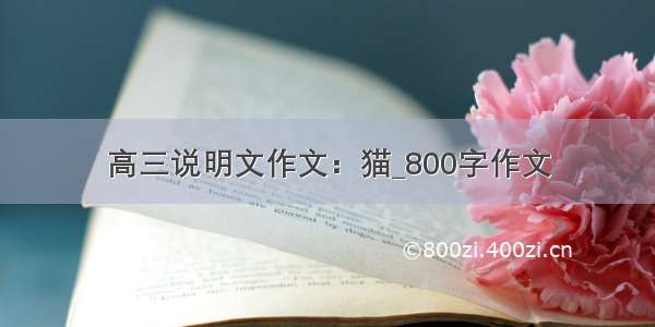 高三说明文作文：猫_800字作文