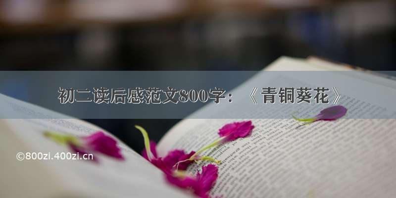 初二读后感范文800字：《青铜葵花》