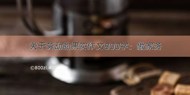 关于劳动的果实作文800字：做家务