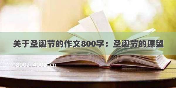 关于圣诞节的作文800字：圣诞节的愿望