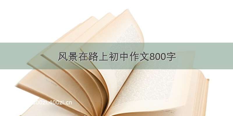 风景在路上初中作文800字