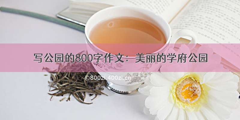 写公园的800字作文：美丽的学府公园