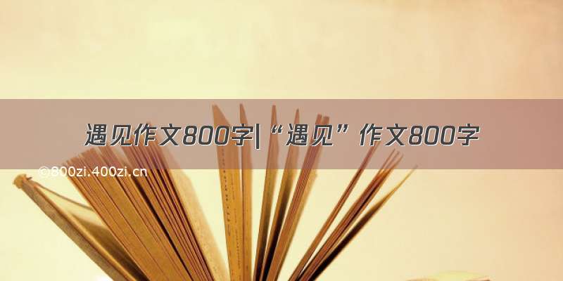 遇见作文800字|“遇见”作文800字