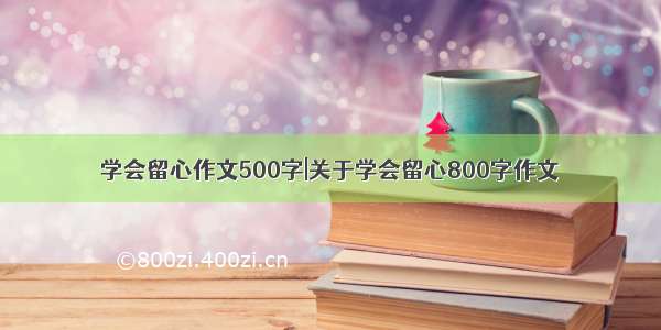 学会留心作文500字|关于学会留心800字作文