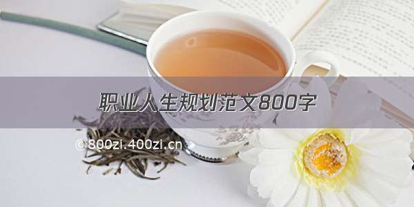 职业人生规划范文800字