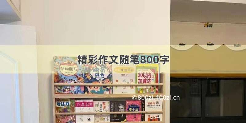 精彩作文随笔800字