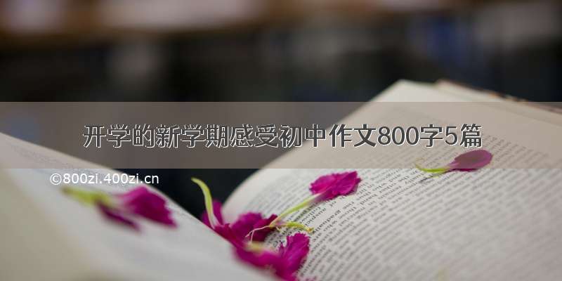 开学的新学期感受初中作文800字5篇