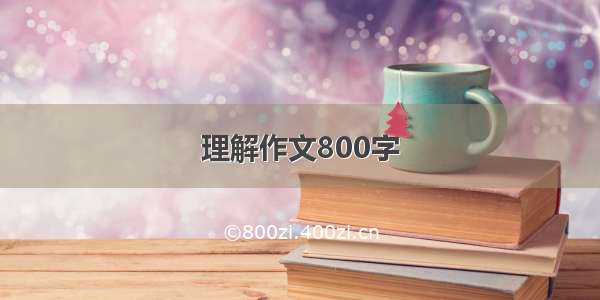 理解作文800字