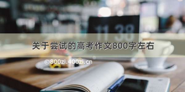 关于尝试的高考作文800字左右