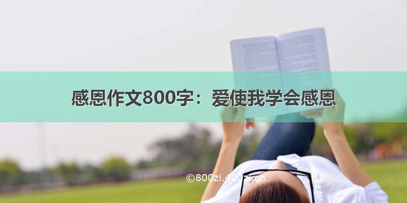 感恩作文800字：爱使我学会感恩