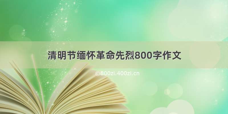 清明节缅怀革命先烈800字作文