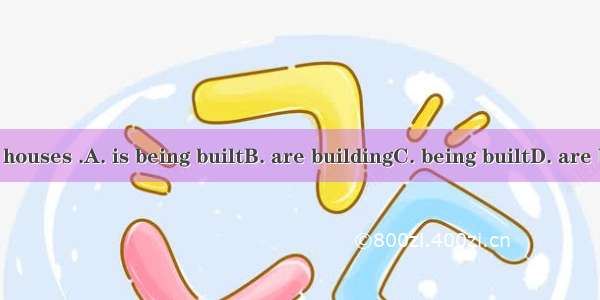 Look! The houses .A. is being builtB. are buildingC. being builtD. are being built