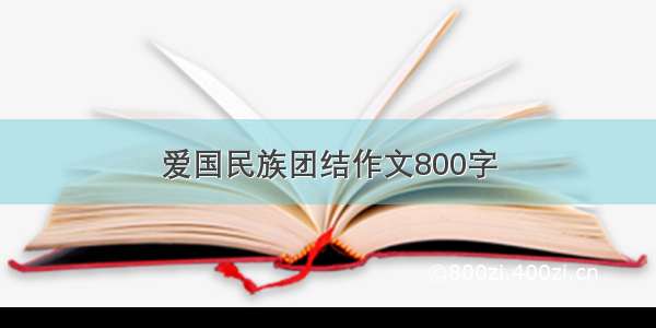 爱国民族团结作文800字