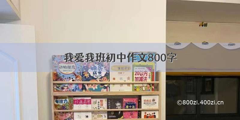 我爱我班初中作文800字