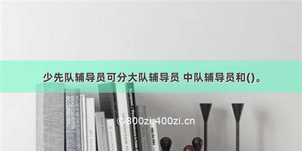 少先队辅导员可分大队辅导员 中队辅导员和()。