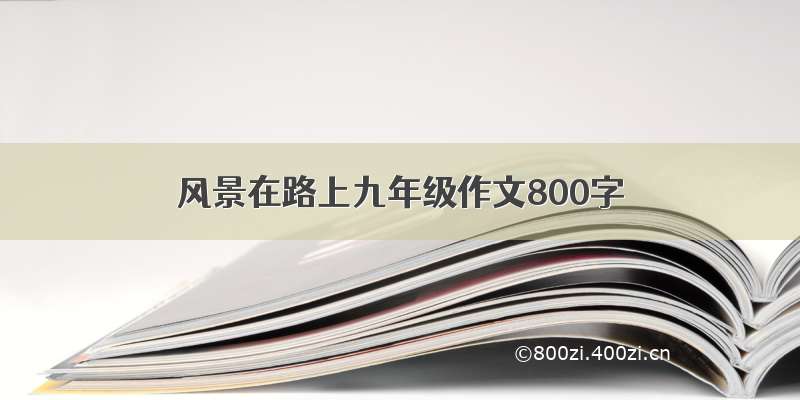 风景在路上九年级作文800字