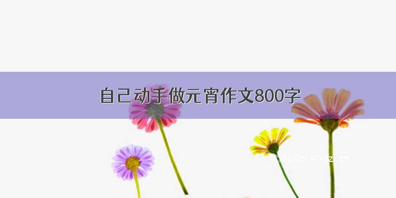 自己动手做元宵作文800字