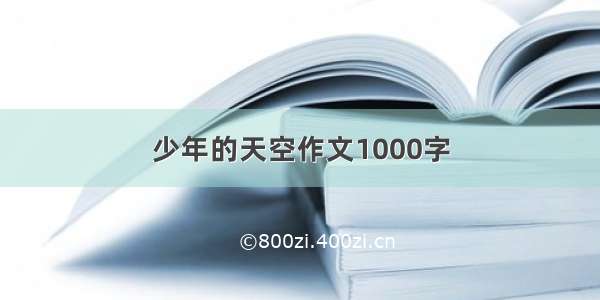 少年的天空作文1000字