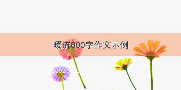 暖流800字作文示例