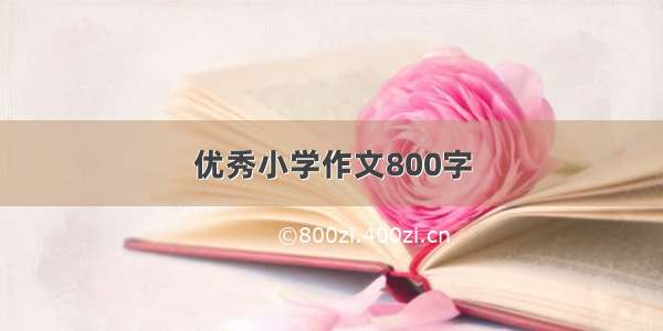 优秀小学作文800字